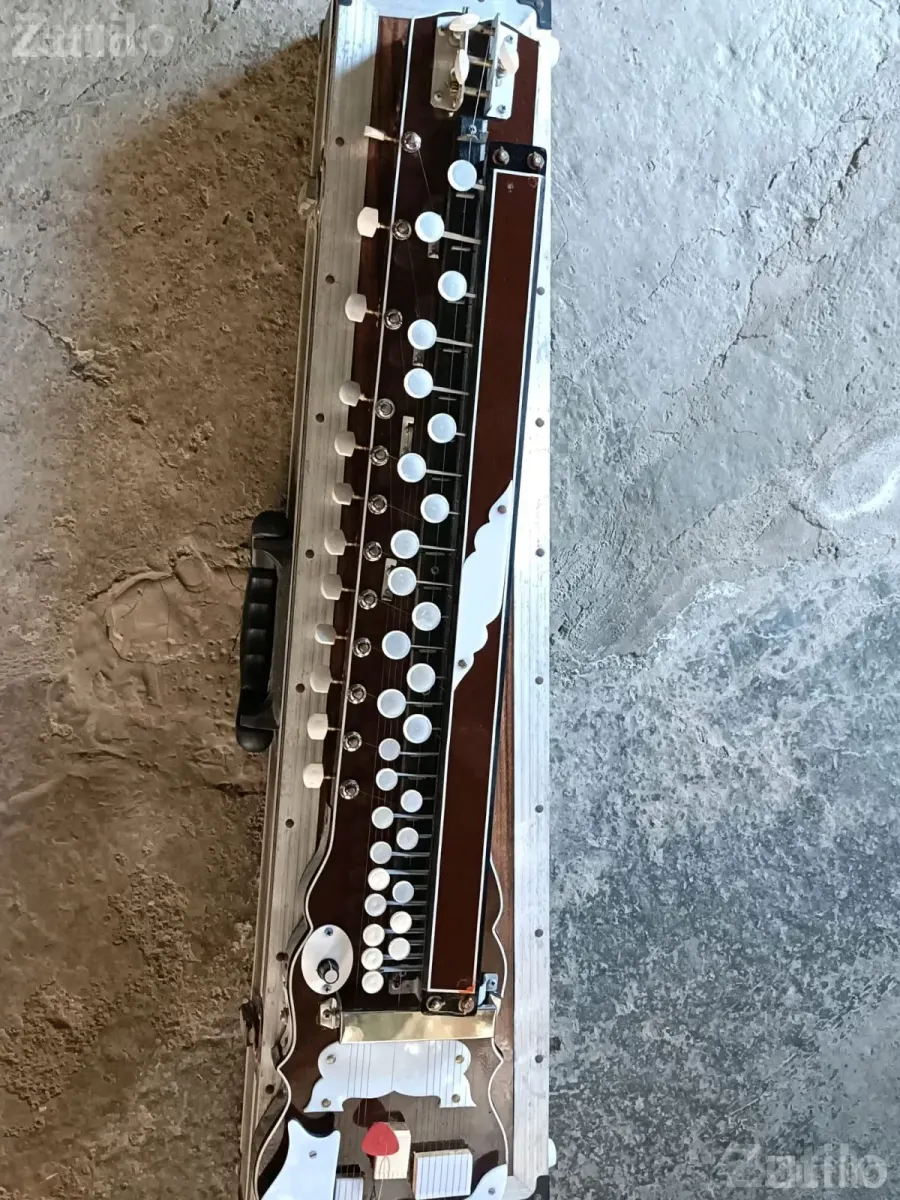 29 Key Banjo with Monitor and Case - Musical Instruments - Bhavnagar City - Image 3