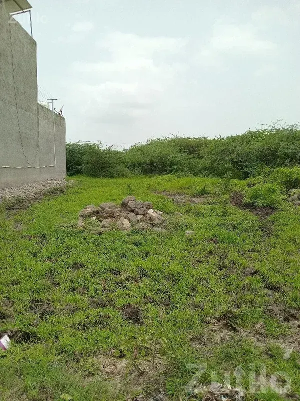 Residential Plot for Sale in Upleta - Land & Plots - Upleta - Image 3