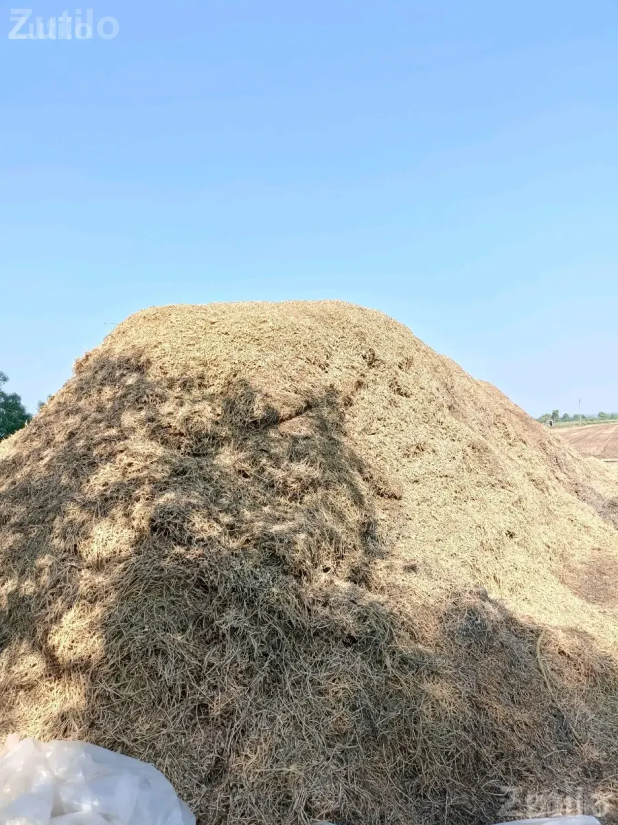 30 Vigha Agricultural Land Plot for Sale - Land & Plots - Bhanvad - Image 3