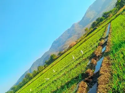 Fertile Agricultural Land Near Hills Fertile Agricultural Land Near Hills