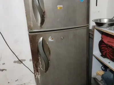 Fridge Fridge