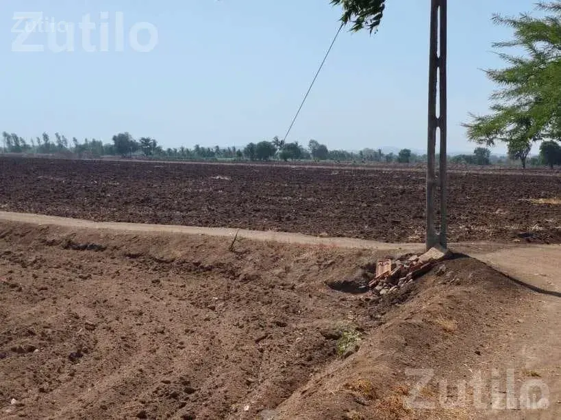 40 Vigha Agricultural Land with Farmhouse - Land & Plots - Jamjodhpur - Image 2