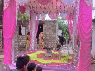 Wedding Mandap Service Setup with Chairs and Carpets Wedding Mandap Service Setup with Chairs and Carpets
