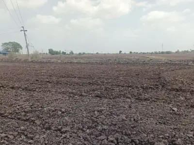 13 વિઘા જમીન વેચવાની છે.