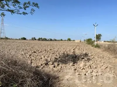 10 Bigha Open Agricultural Land Plot 10 Bigha Open Agricultural Land Plot