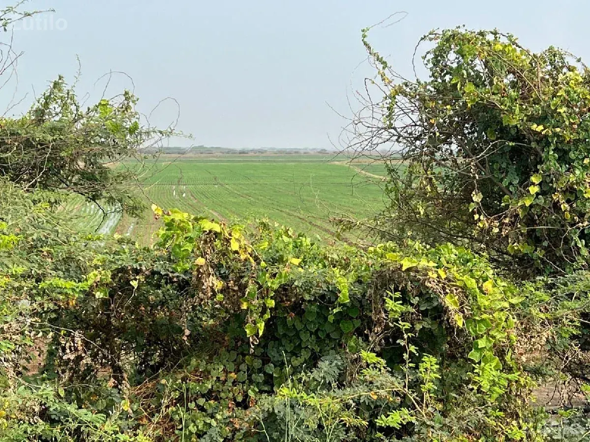 જમીન વેચવાની છે 
સોમનાથ દ્વારકા - Land & Plots - Gandhinagar City - Image 3