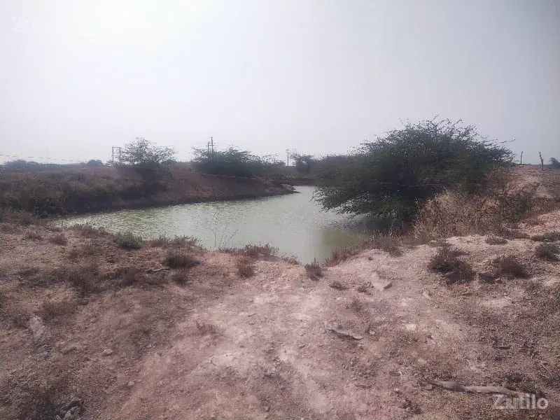 22 vigha jamin vechva ni chhe - Land & Plots - Songadh - Image 2