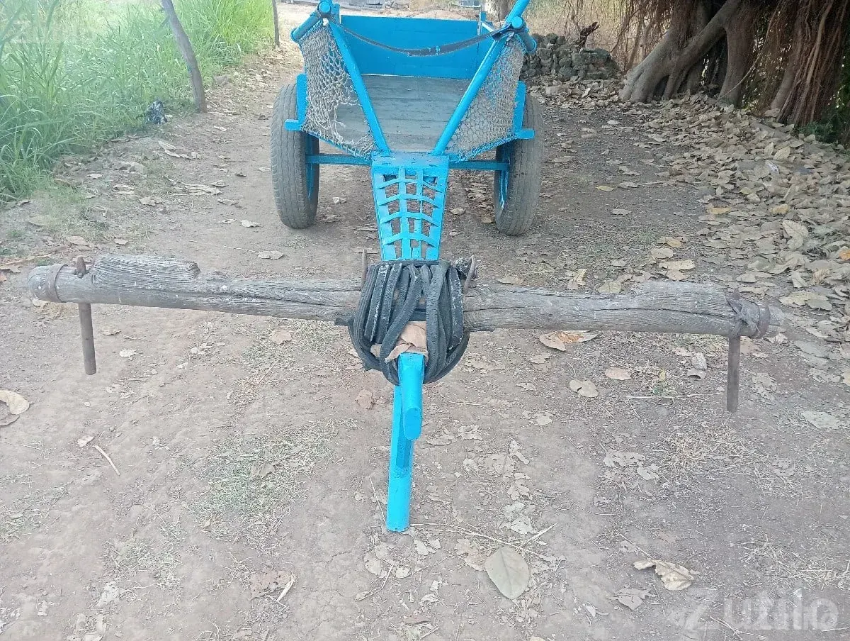 Heavy Duty Iron Farm Trolley for Sale - બાંધકામના વાહનો - મેન્ડરડા - Image 2