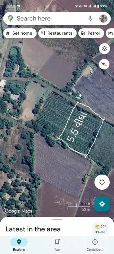 5.5 Vigha Agricultural Land for Sale - Land & Plots - Bagasara - Image 5