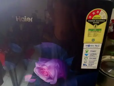 Haier 205L Single Door Refrigerator
