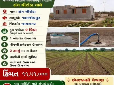 9 Vigha 5 Guntha Farm Land with Borewell 9 Vigha 5 Guntha Farm Land with Borewell