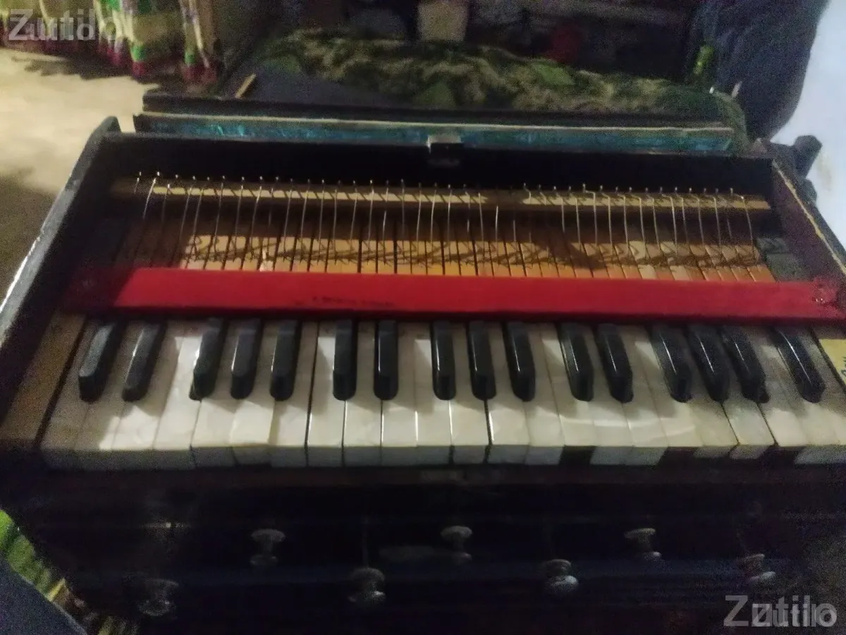 Harmonium in Very Good Condition - સંગીત સાધનો - રાજુલા - Image 4