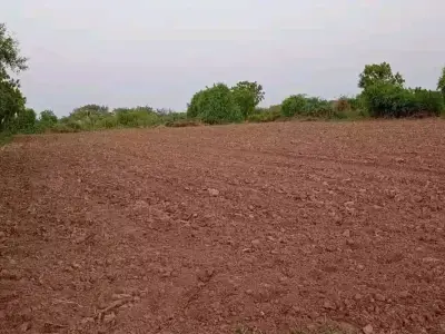 15 Vigha Agricultural Land Near Road 15 Vigha Agricultural Land Near Road