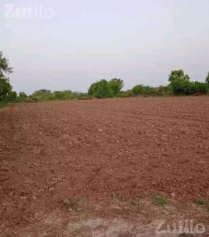 15 Vigha Agricultural Land Near Road - Land & Plots - Surendranagar City - Image 1