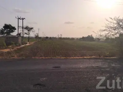 10 Vigha Road Touch Farmland Talala 10 Vigha Road Touch Farmland Talala