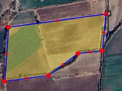 10.5 Vigha Agricultural Land for Sale