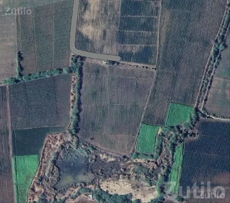 Road Touch Farmland Plot in Limbdi - Land & Plots - Limbdi - Image 1