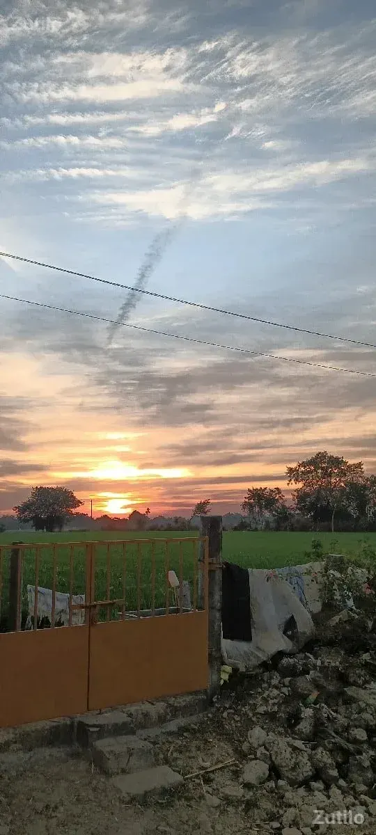 1 વીઘાના 24 લાખ - જમીન અને પ્લોટ - કોડીનાર - Image 1
