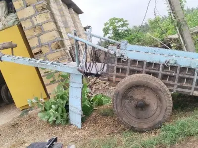 Bullock Cart with Iron Frame and Wooden Body Bullock Cart with Iron Frame and Wooden Body