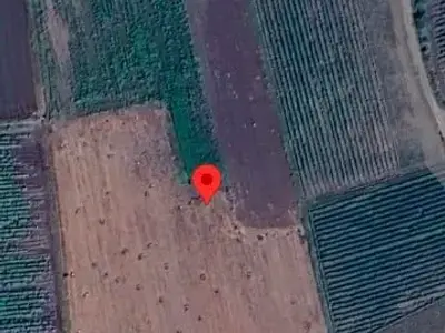 10 Vigha Fertile Agricultural Land Plot