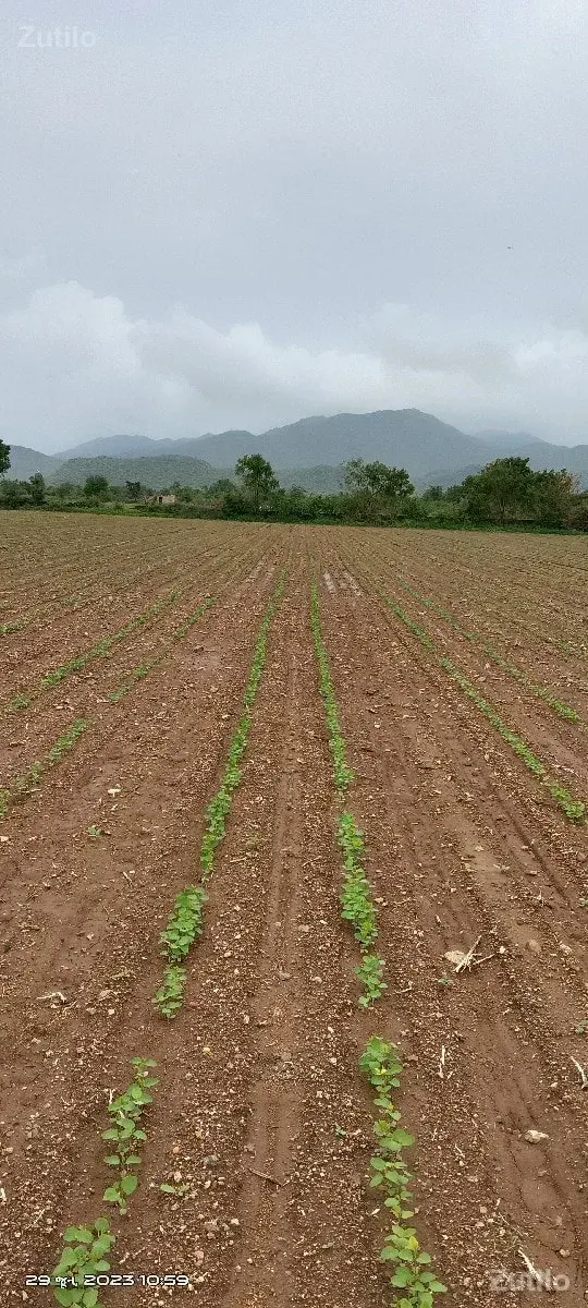 10 વીઘા જમીન વેચવા ની છે - Land & Plots - Bhanvad - Image 2