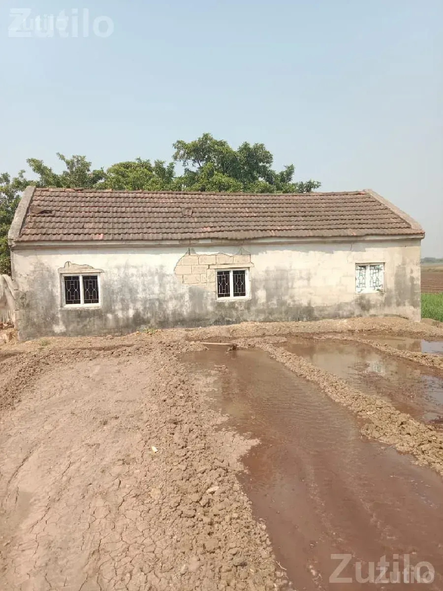 35 Foot Dhariyu House Structure for Sale - House for Sale - Keshod - Image 3