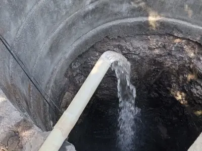 લેવેશ માટે