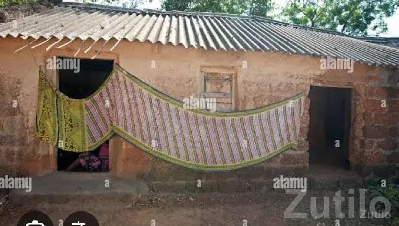 800 Sqft House with 4 Units for Sale - House for Sale - Botad - Image 2