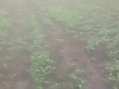 જમીન વેચવાની છે જમીન વેચવાની છે
