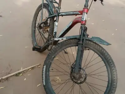 Adult Mountain Bicycle with Front Disc Brake Adult Mountain Bicycle with Front Disc Brake