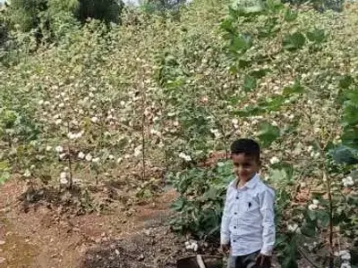 12.30 Vigha Road Touch Agricultural Land