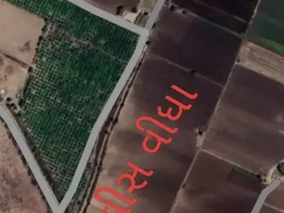 Pani Vari Vari Agricultural Land Rajkot Pani Vari Vari Agricultural Land Rajkot