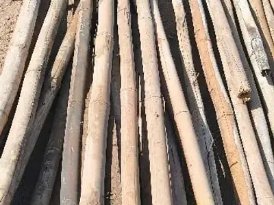Used Bamboo Poles for Sale