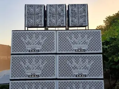 D.M.DJ Professional Sound System Setup D.M.DJ Professional Sound System Setup