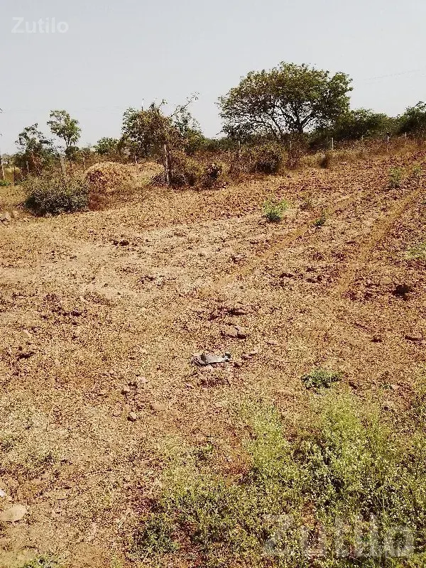Fertile Riverfront Farmland Plot for Sale - Land & Plots - Kutiyana - Image 2