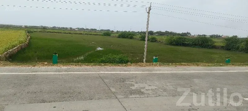 7.5 Vigha Road Touch Agriculture Land - જમીન અને પ્લોટ - છાયા - Image 3