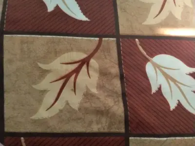 Cotton Saree with Hand Work Cotton Saree with Hand Work