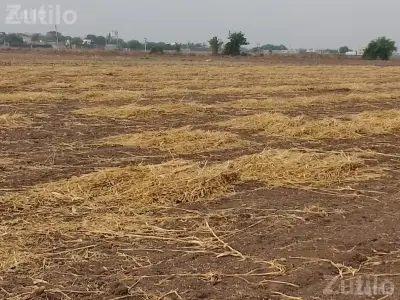 Agricultural Land Plot for Sale Agricultural Land Plot for Sale