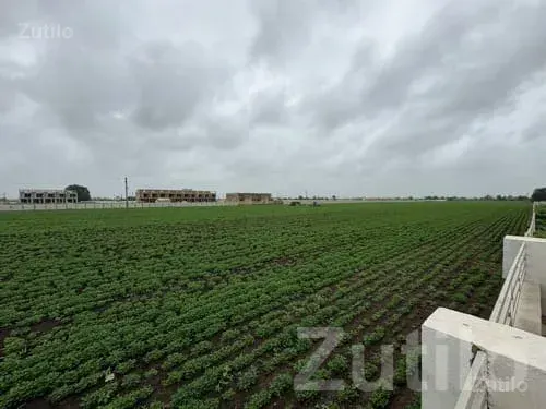 Vadala Fatak Roadside Plot Land for Sale - Land & Plots - Talala - Image 3