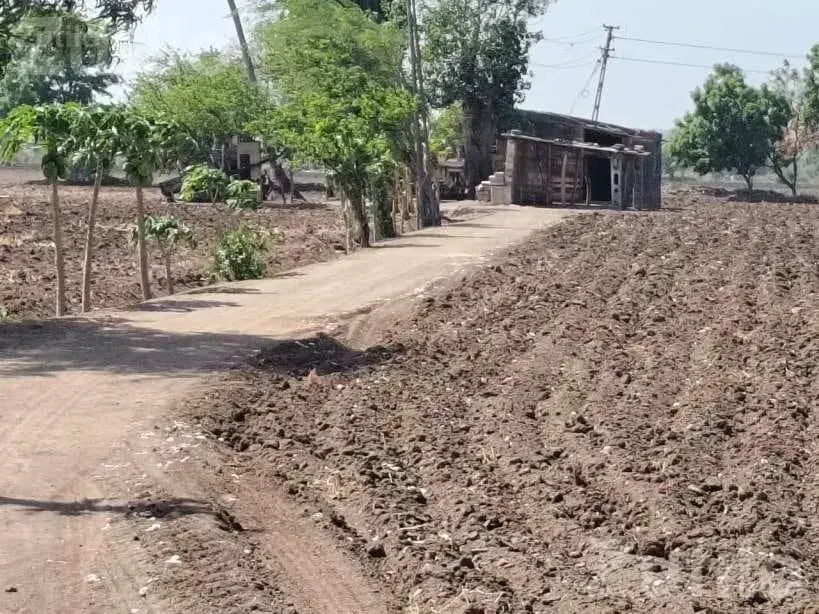 40 Vigha Agricultural Land with Farmhouse - Land & Plots - Jamjodhpur - Image 4