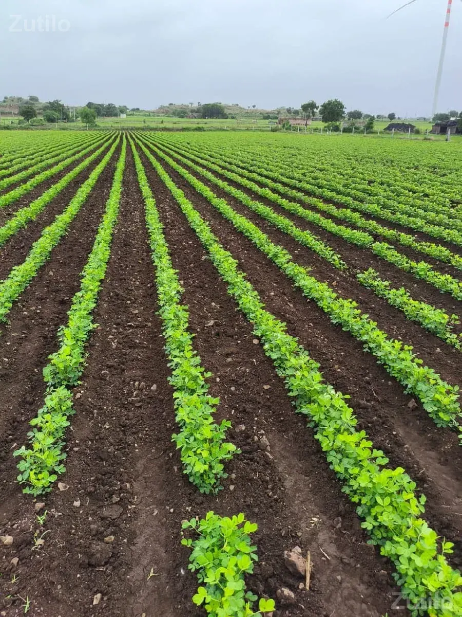 જમીન વેચવાની છે - Land & Plots - Gandhinagar City - Image 1