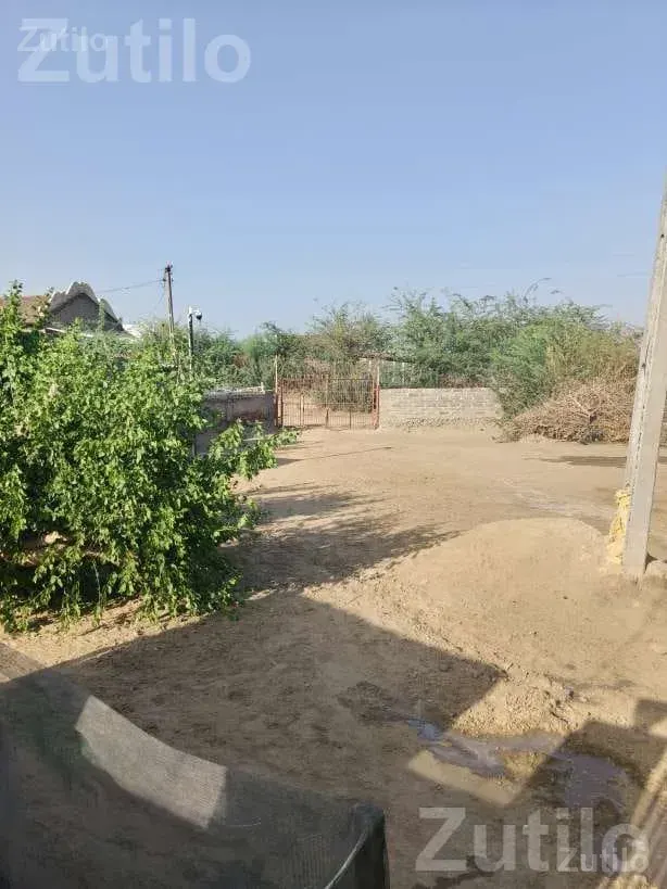 House for Sale with Open Space - House for Sale - Vav - Image 2