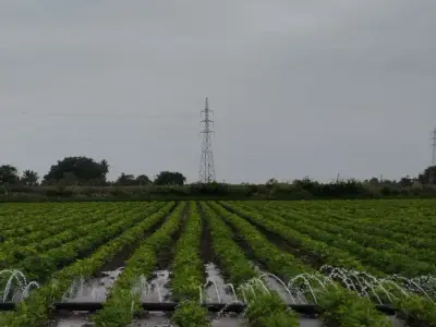 Fertile Irrigated Farmland Plot for Sale