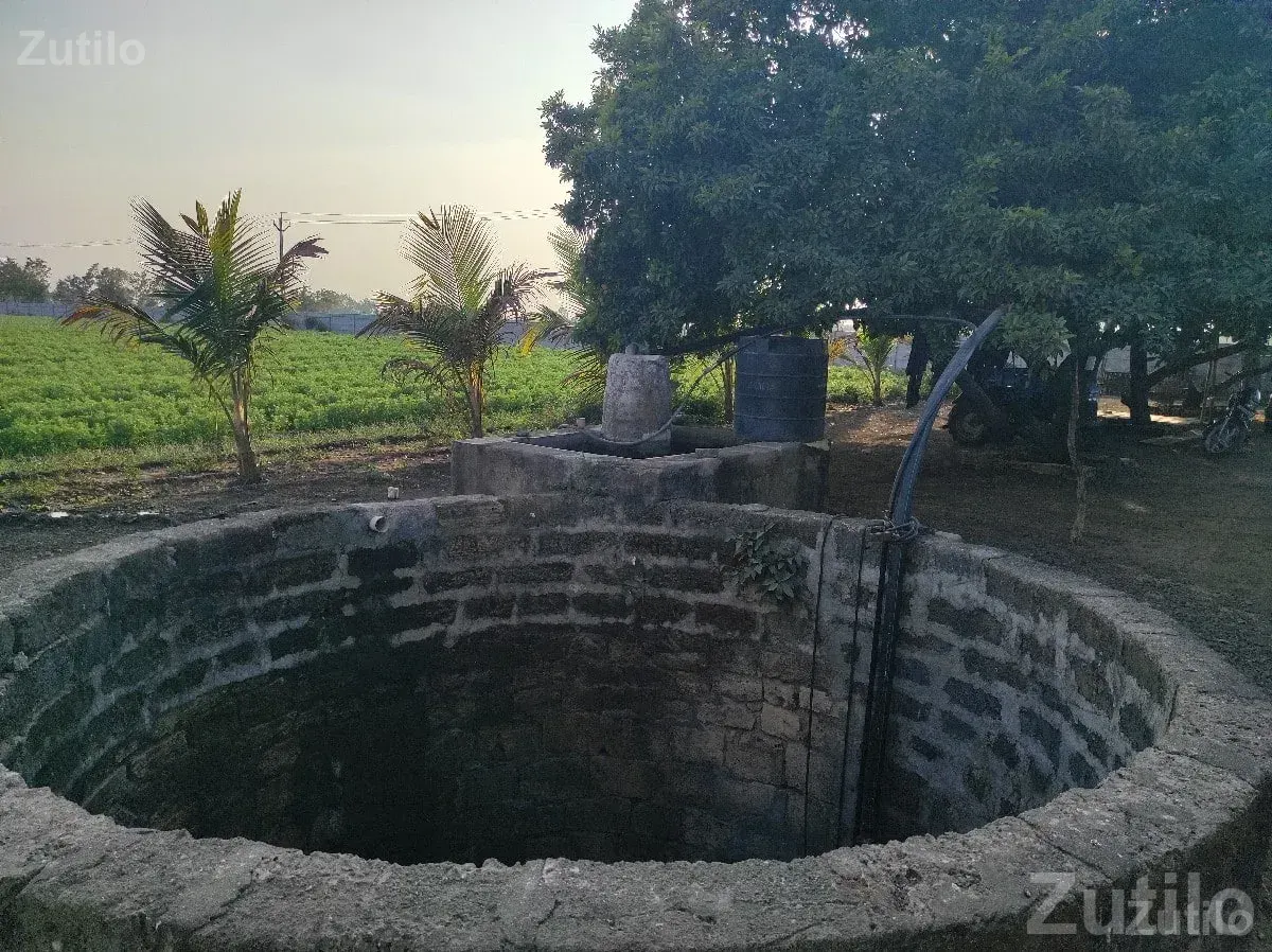 Fertile Agriculture Land for Sale, Upleta - Land & Plots - Upleta - Image 3