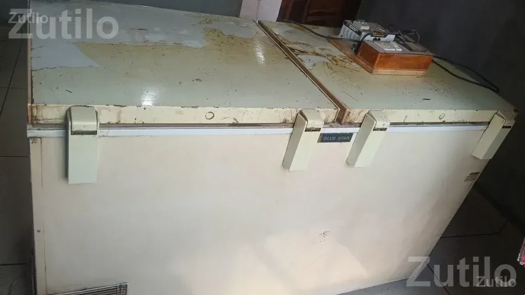 Blue Star Deep Freezer Used Working - Refrigerators - Ranpur - Image 4