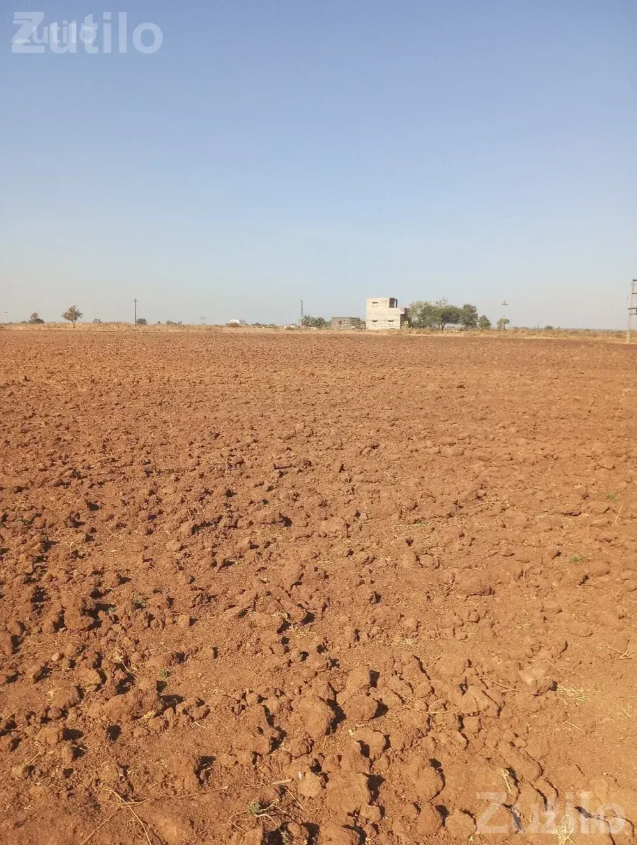 Agricultural Land for Sale in Rajpara - Land & Plots - Jamkandorna - Image 2