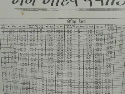 Man Mandir Society Residential Plot