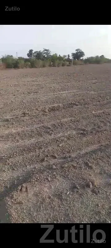 17 Vigha Farm Land with Well Connection - Land & Plots - Khambha - Image 2
