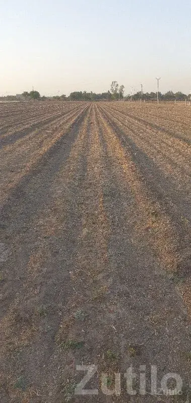 Mota Gunda Farmland Plot, Khambhalia - જમીન અને પ્લોટ - ખંભાળિયા - Image 3