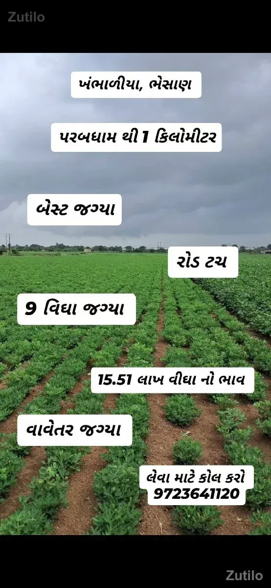 વિપુલભાઇ મો: 9723641120 - Land & Plots - Bhesan - Image 2